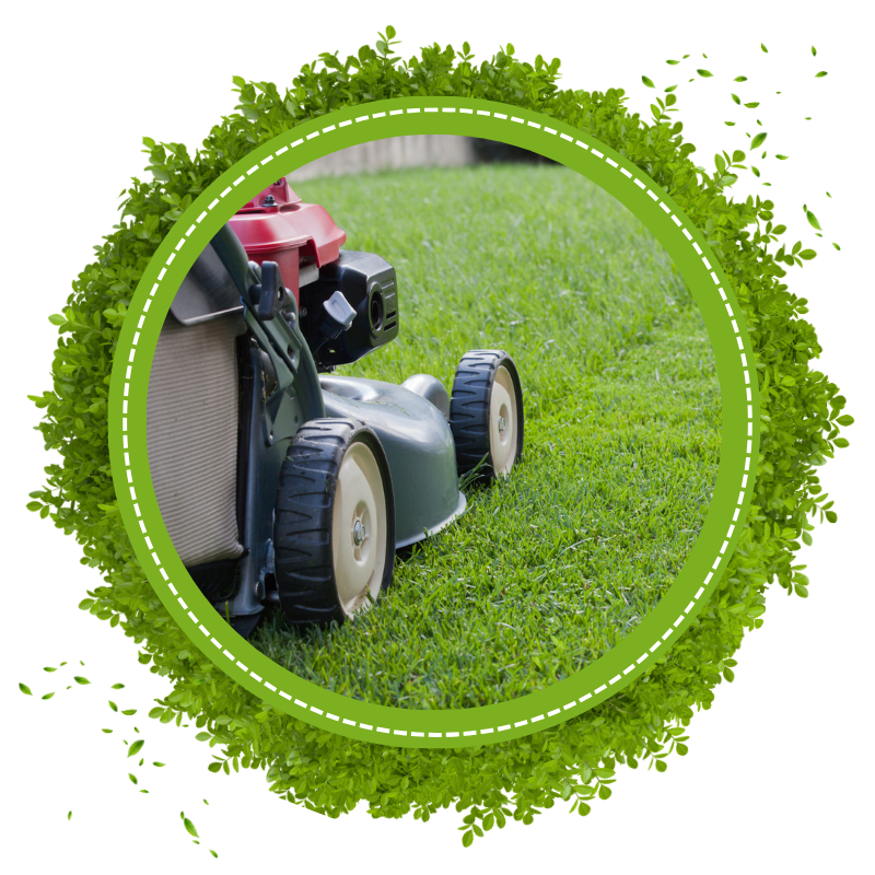 About Premier Landscaping & Lawn Maintenance