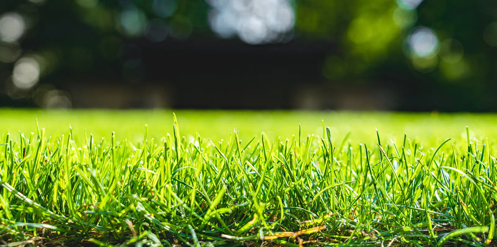We Carry Over 18 Years Of Experience In Lawn Services