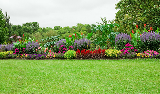 img-Landscaping Services