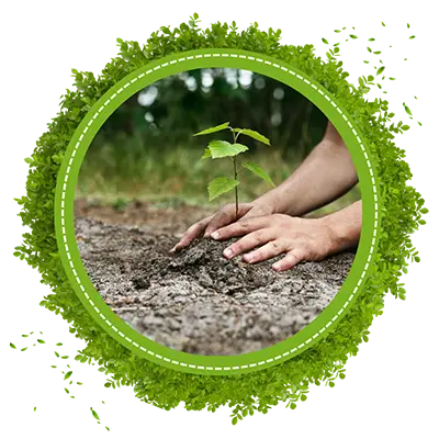 Tree Planting & Services