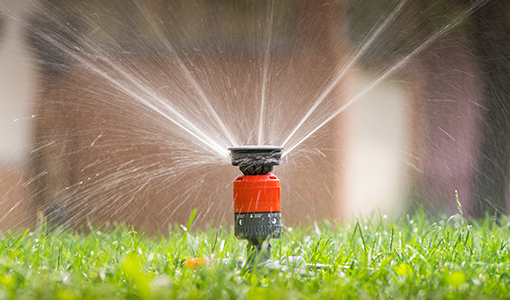 img-Sprinkler System Installation