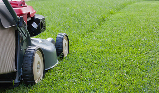 img-Lawn Mowing