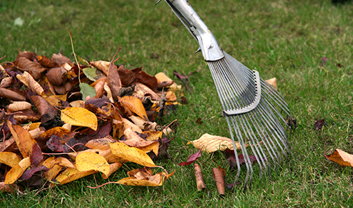 img-Clean Up Services